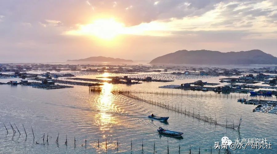 并不是所有的水霉菌都是有害的，您知道有害的有哪几种吗？