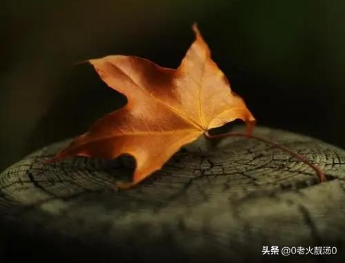 创业者应该具备的基本素养有哪些,创业者应该具备哪些财务素养知识