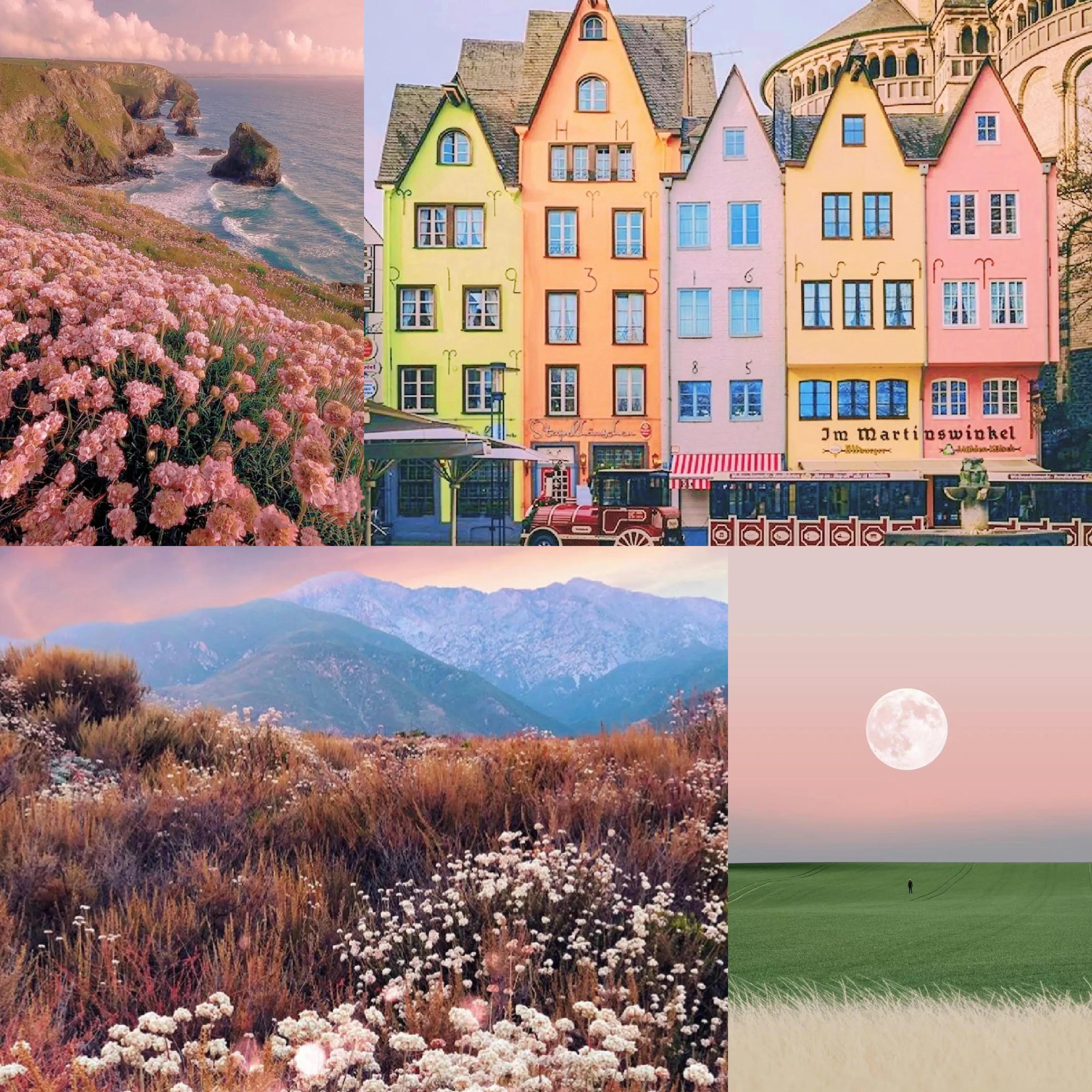 经济运行原理图解,经济运行原理视频