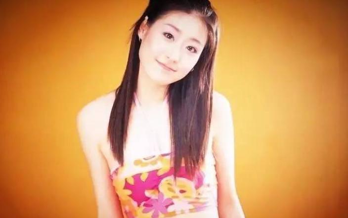 李卉颜值变化,李卉为何没有大红大紫