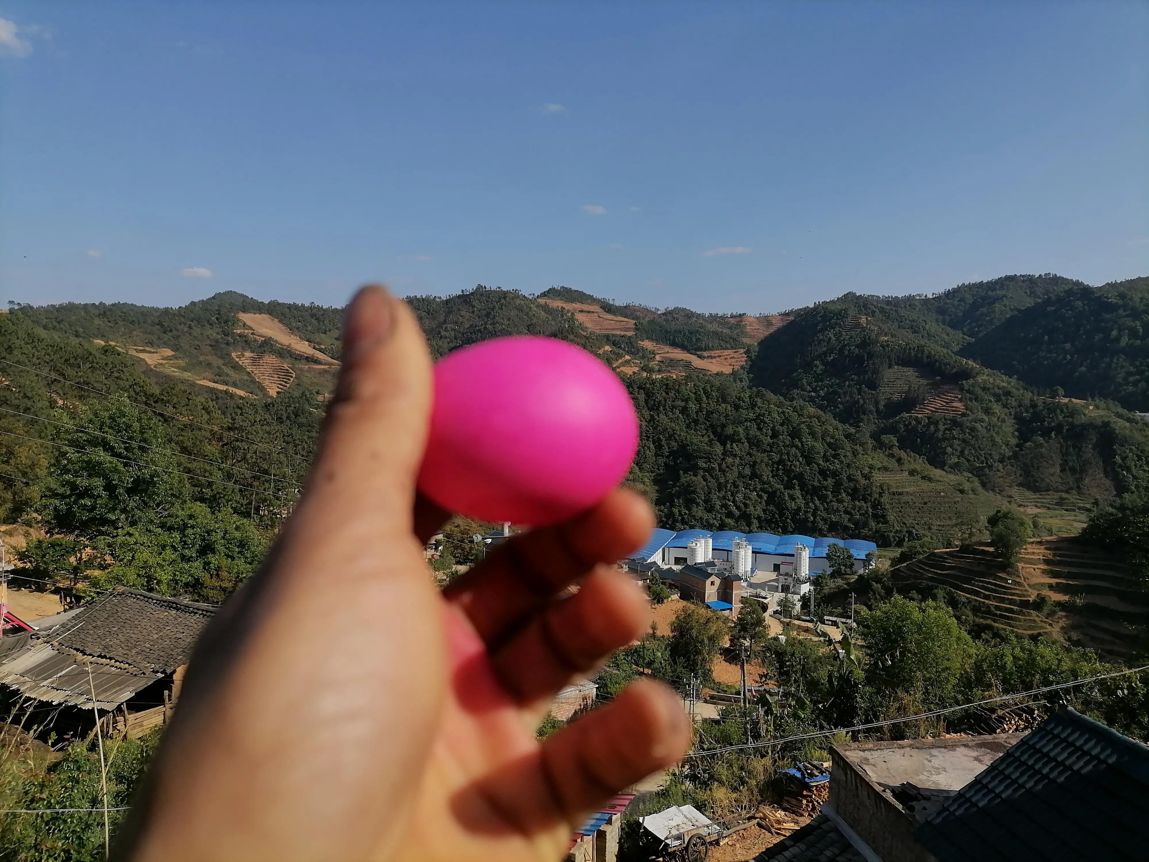 2022年4月的自学考试复习,延期