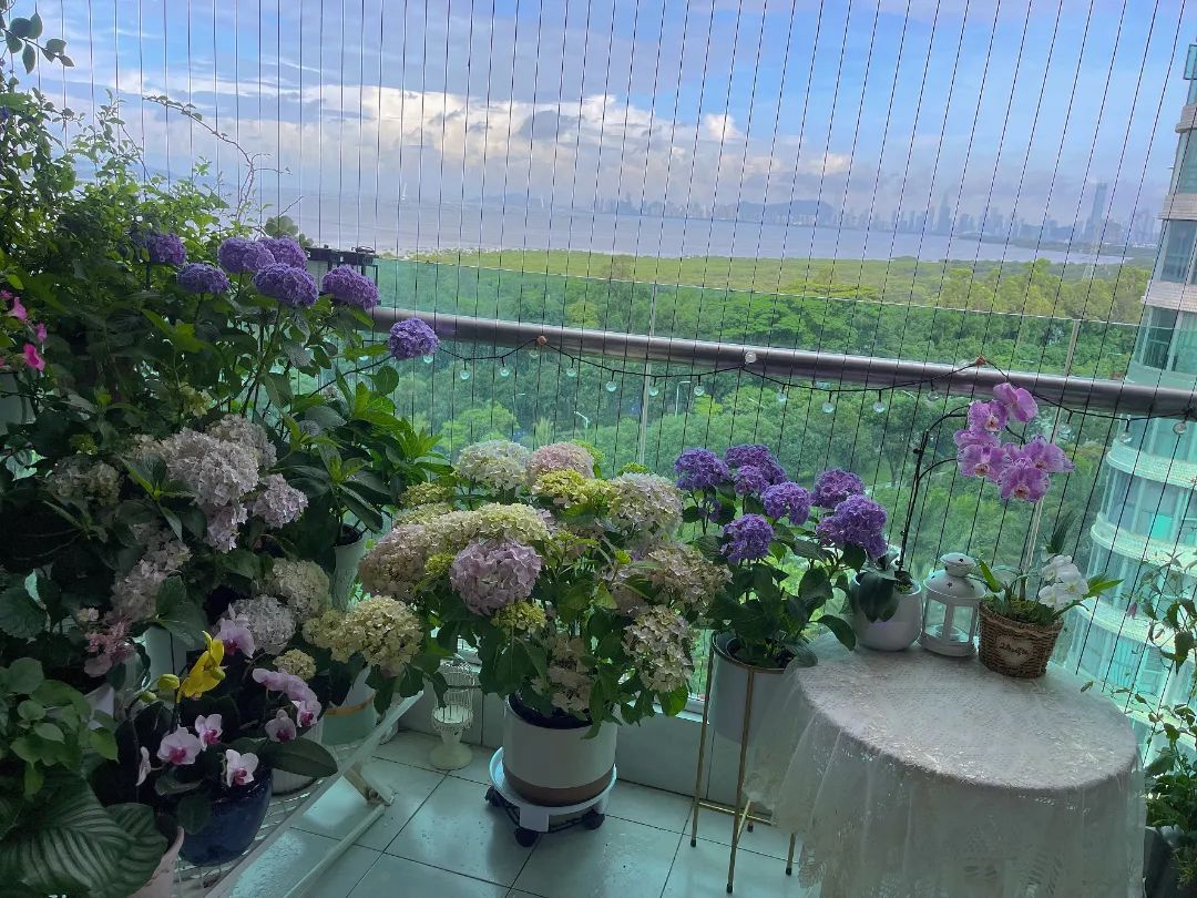 很多人羡慕的阳台,让别人羡慕的阳台