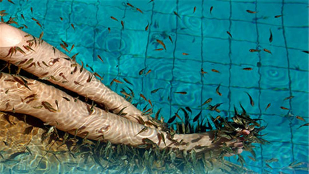 女子鱼疗赔四万多,女子做鱼疗鱼全死赔两万