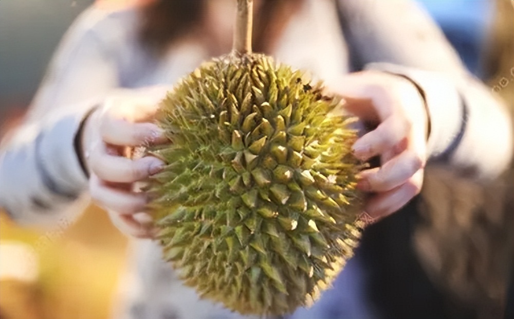 孕妇榴莲吃多了对胎儿有影响吗,孕妇可以吃榴莲吗对胎儿有害吗