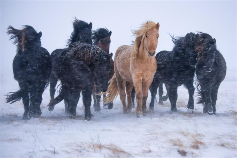 一组真实的照片:120米的长距离水漂,墨西哥的陶土武士