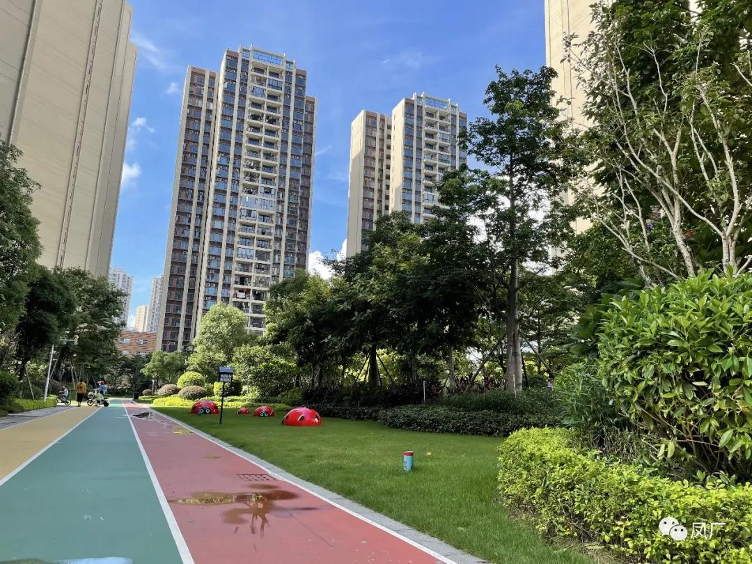 容桂东部：凤凰湾入秋了（多图）