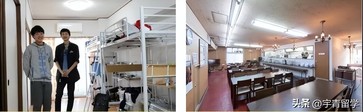 京都两洋高中与仙台育英高中比较,京都两洋高中留学经历