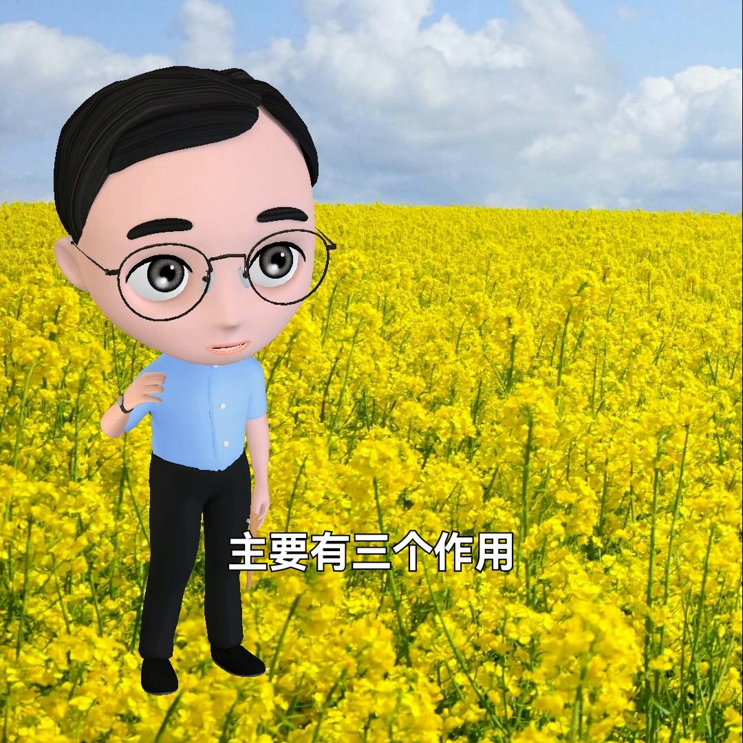 小程序中储粮餐饮专用食用油,大豆油如何做配送