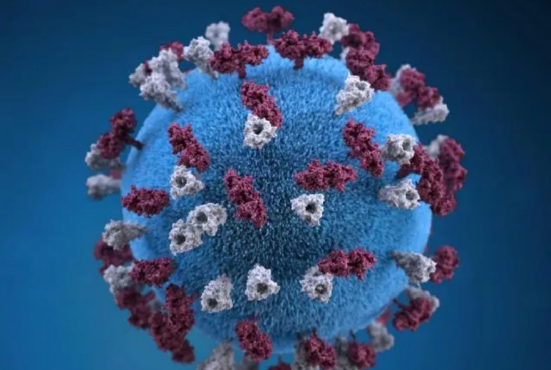 心血管疾病的药要一直吃吗,心血管病患者长期吃药有什么伤害