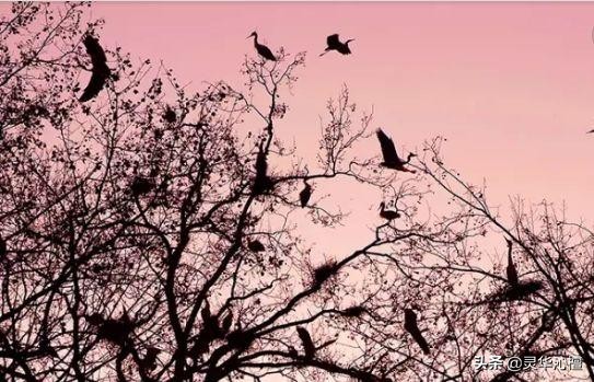 楼上千年古寨,漫步幽悠古寨图片