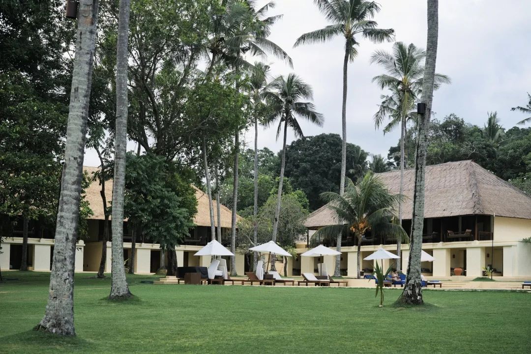 这可能是全球性价比最高的一家阿丽拉