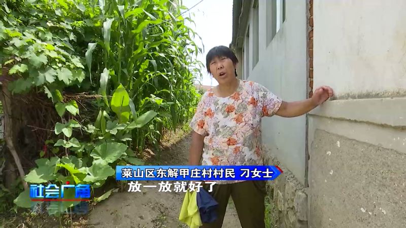 硝化细菌崩溃水质变浑怎么办,家里鱼池水质变浑怎么办