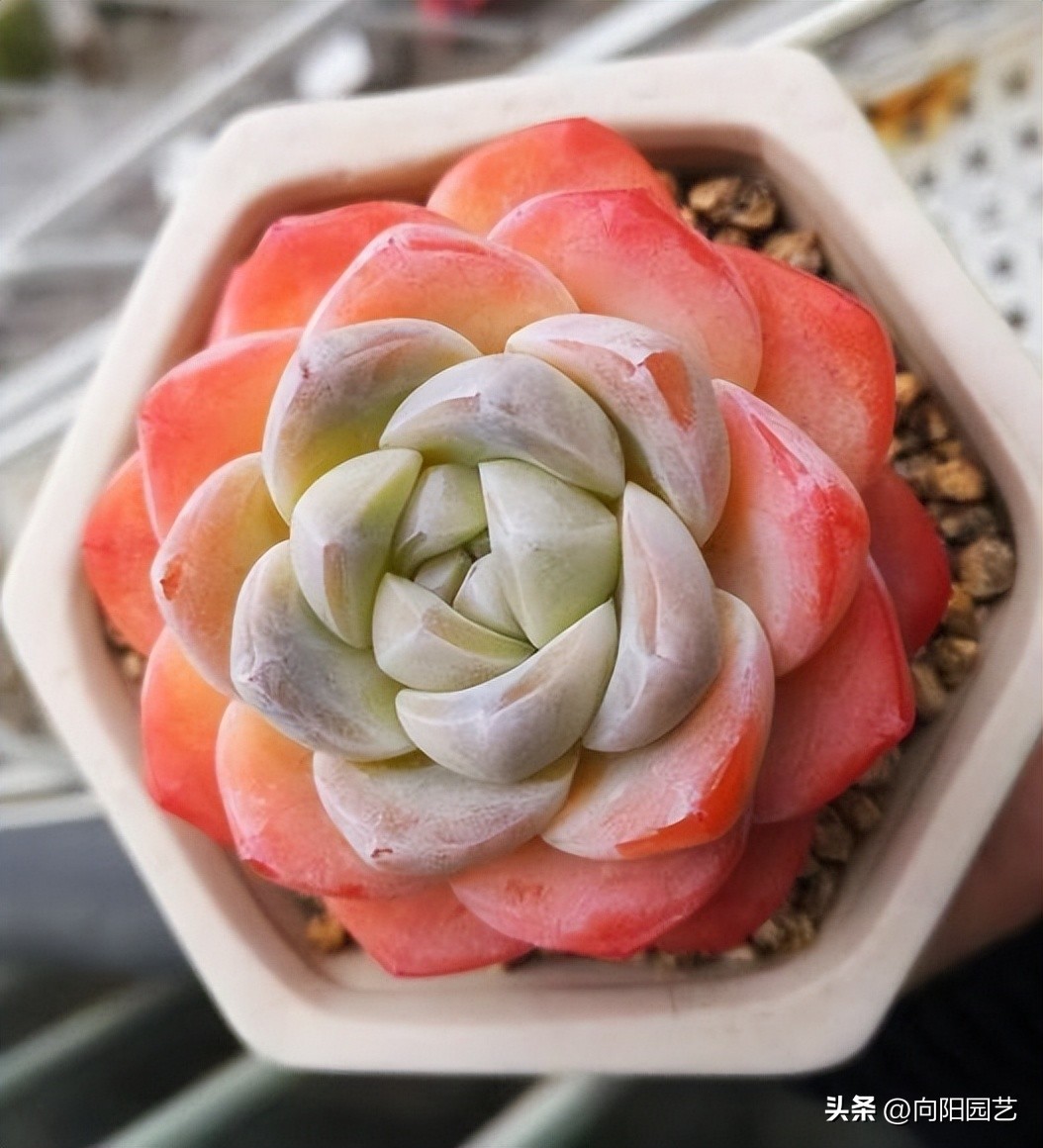 100元左右补光灯怎么选,便宜的补光灯有没有用