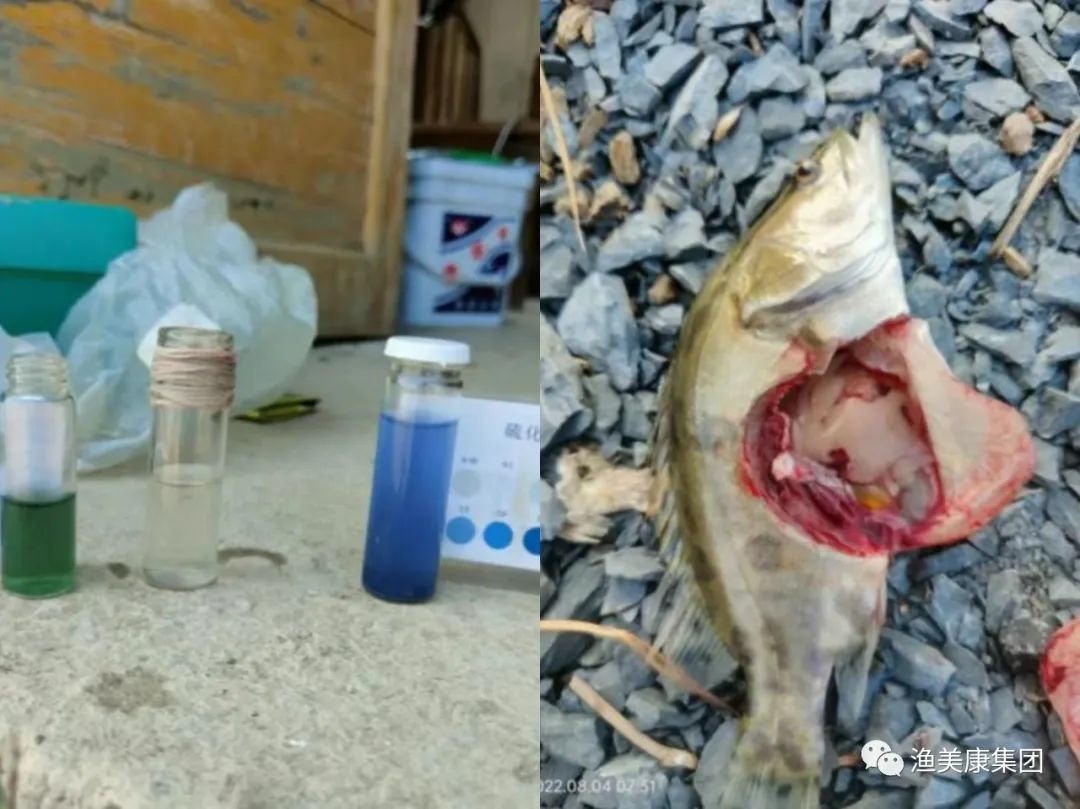 硫化氢的危害程度,硫化氢的最好处理方法是什么