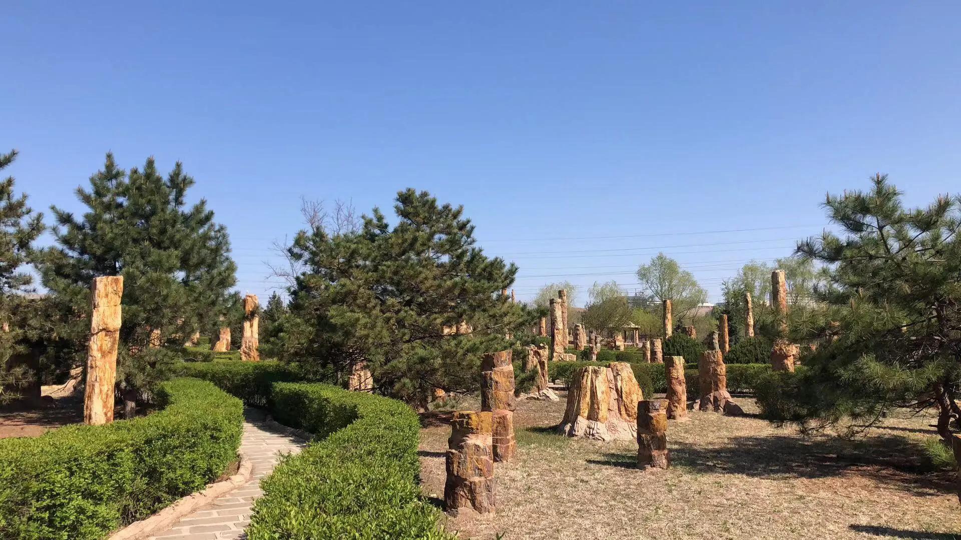 辽西自驾游一日游攻略,辽西自驾游一日游