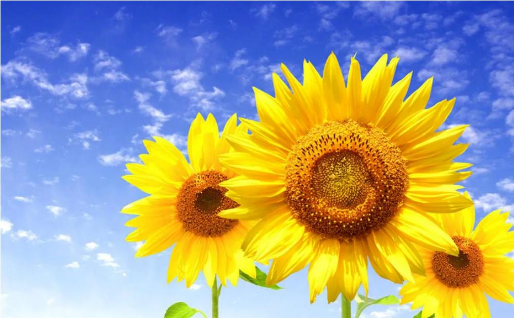 别人送你这2样东西万万不能要,别人送你旧东西时要注意什么