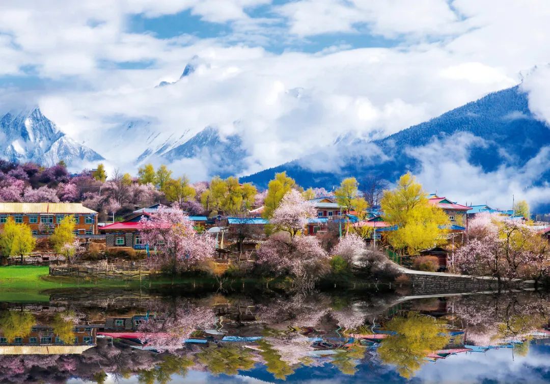 林芝花期预测,林芝桃花最佳观赏时间气温