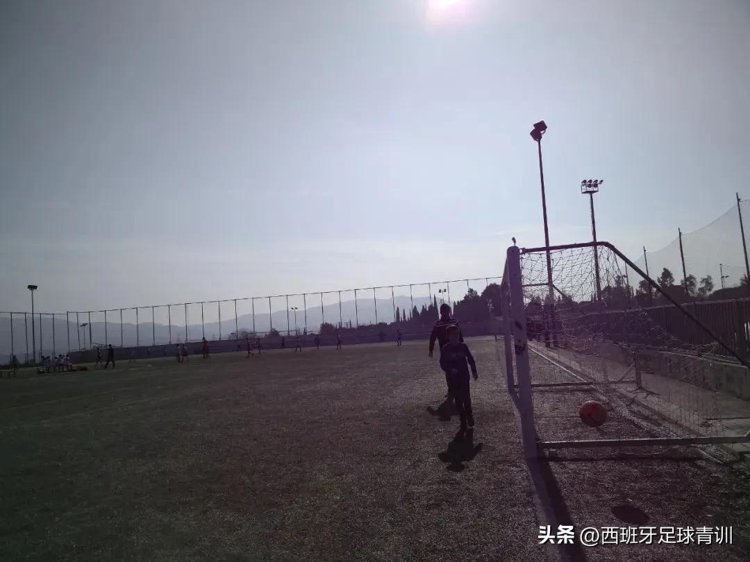 踢球影响智力,西班牙踢球和学习