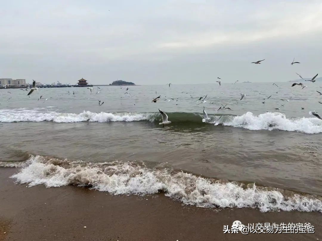 如何选好股票附股,如何选好股票最简单的方法