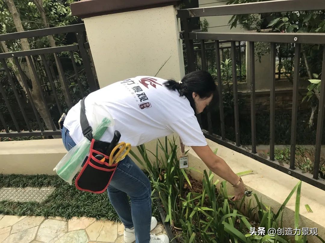 周末回访老客户的文案,回访老客户的主题