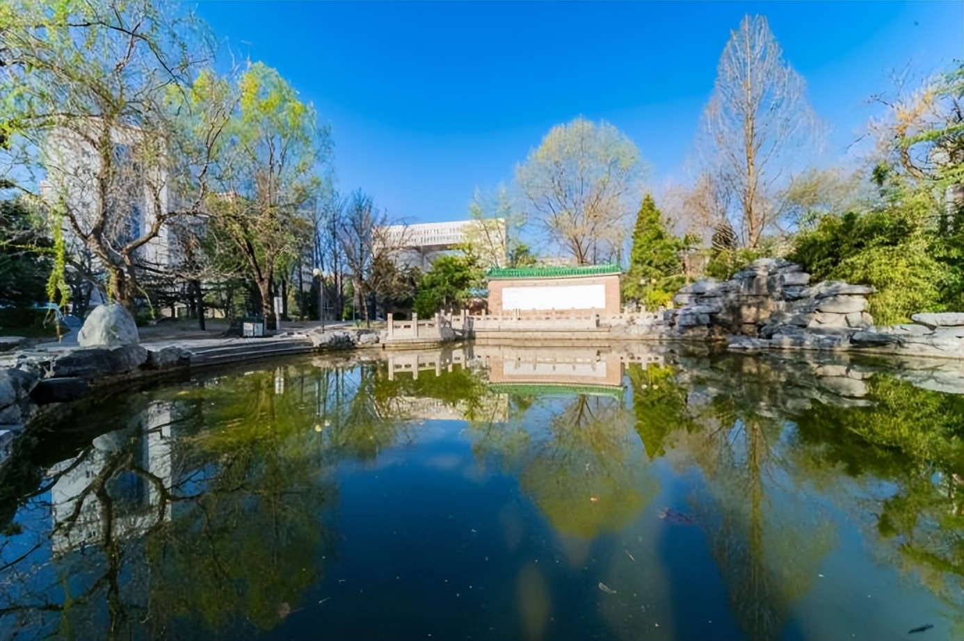 国务院发文支持!这类人才社会急需、缺口巨大,北京名校:专业一流,就业率100%