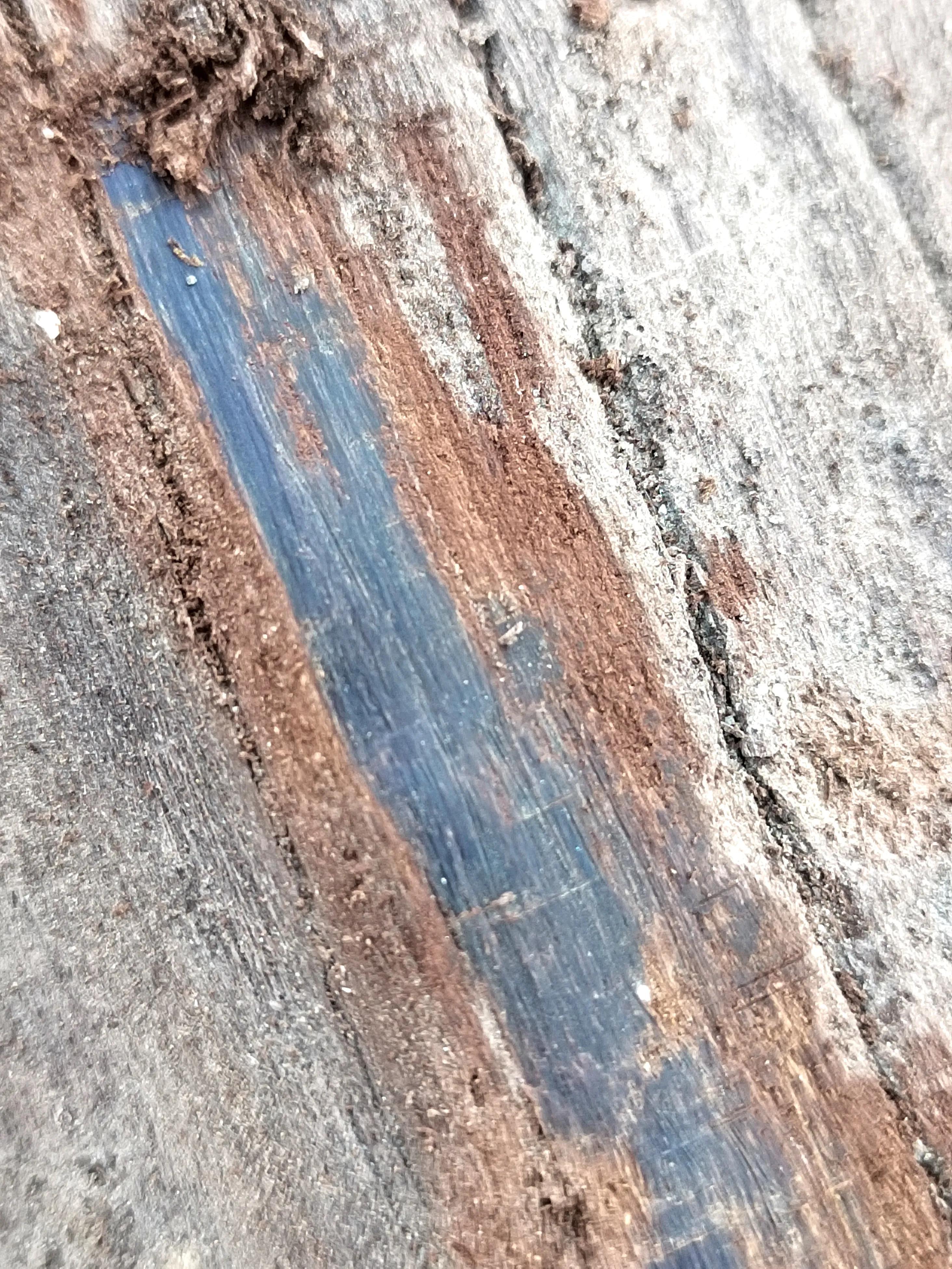 白奇楠莺歌绿奇楠黑奇楠哪个好,黑奇楠和白奇楠沉香哪个好