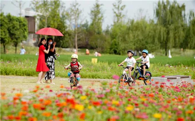 极美汤山,这些绝美的健身步道