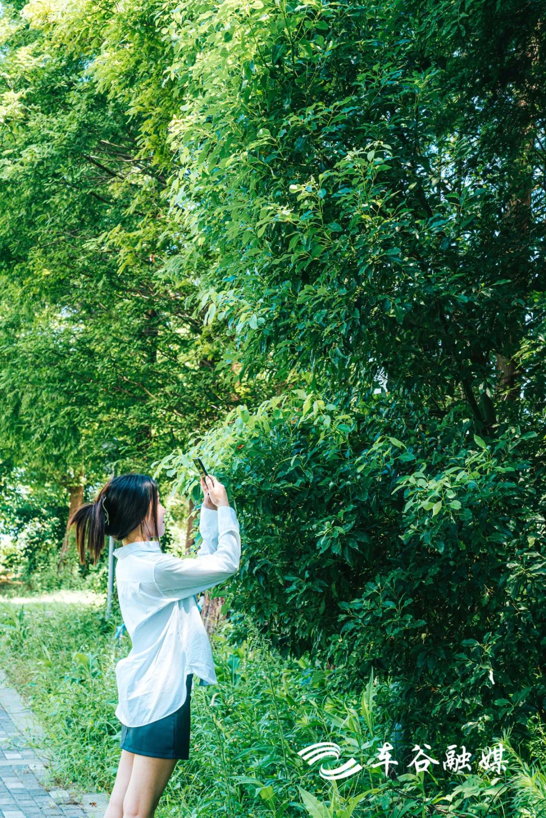 4条路线打开车谷Citywalk，收获N+美图