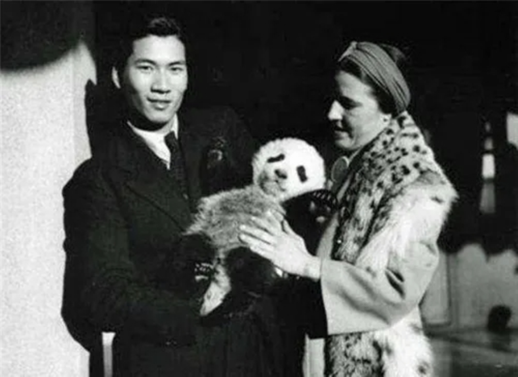 1937年大熊猫被外国人偷走,1939年被伦敦偷走的大熊猫