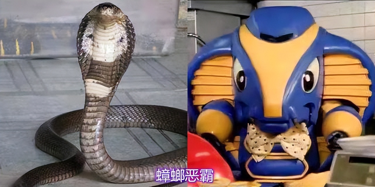 铁甲小宝里有哪些机器人,铁甲小宝中所有机器人图片