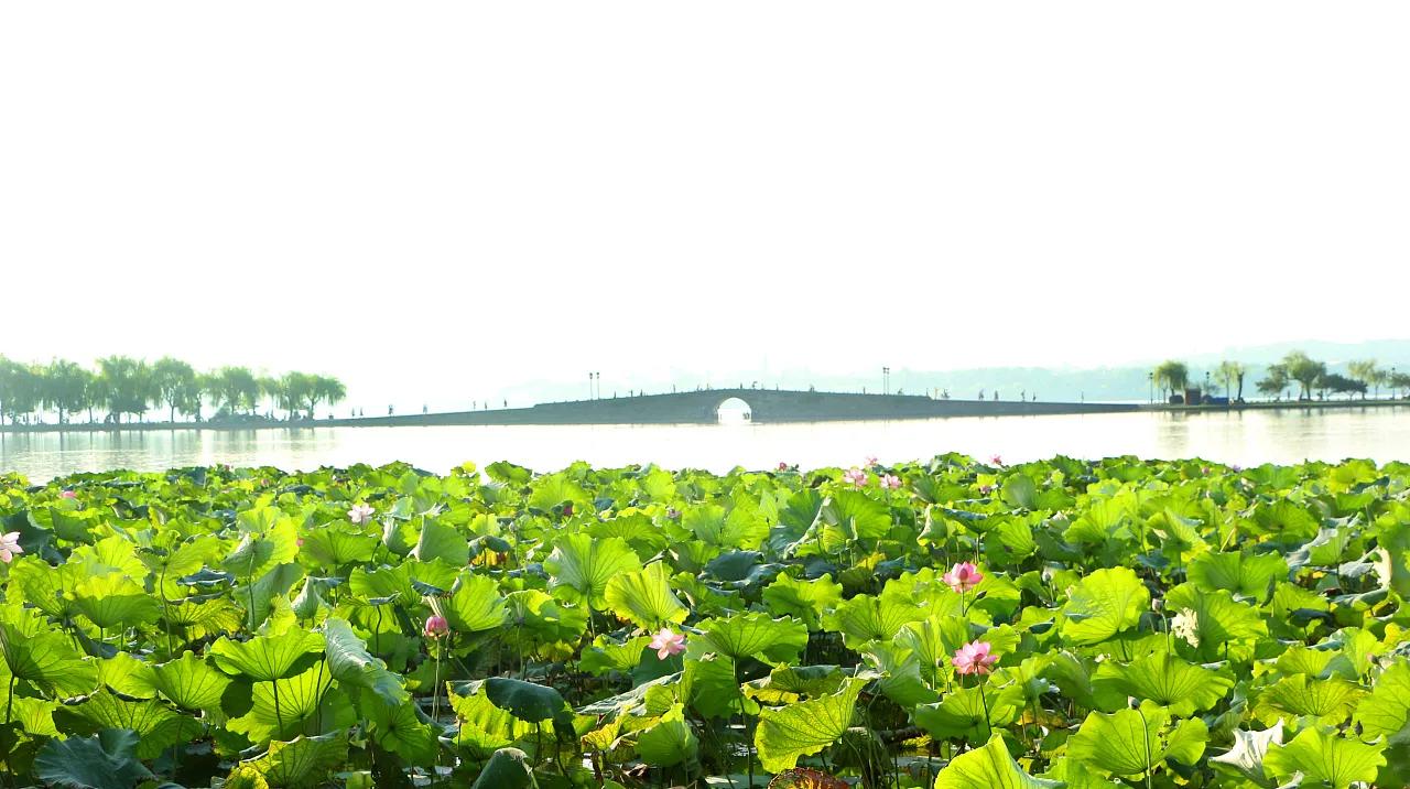 杭州西湖风景名胜区,杭州西湖风景名胜区保安公司