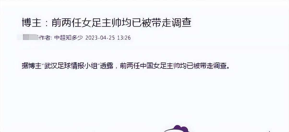 足球高洪波最新消息新闻,足球3