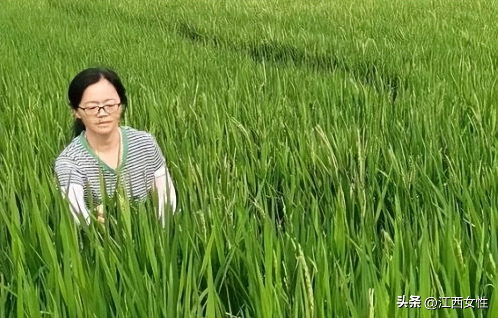 赣鄱巾帼创之粮食安全篇丨张海玲:一心育良种,倾情为百姓