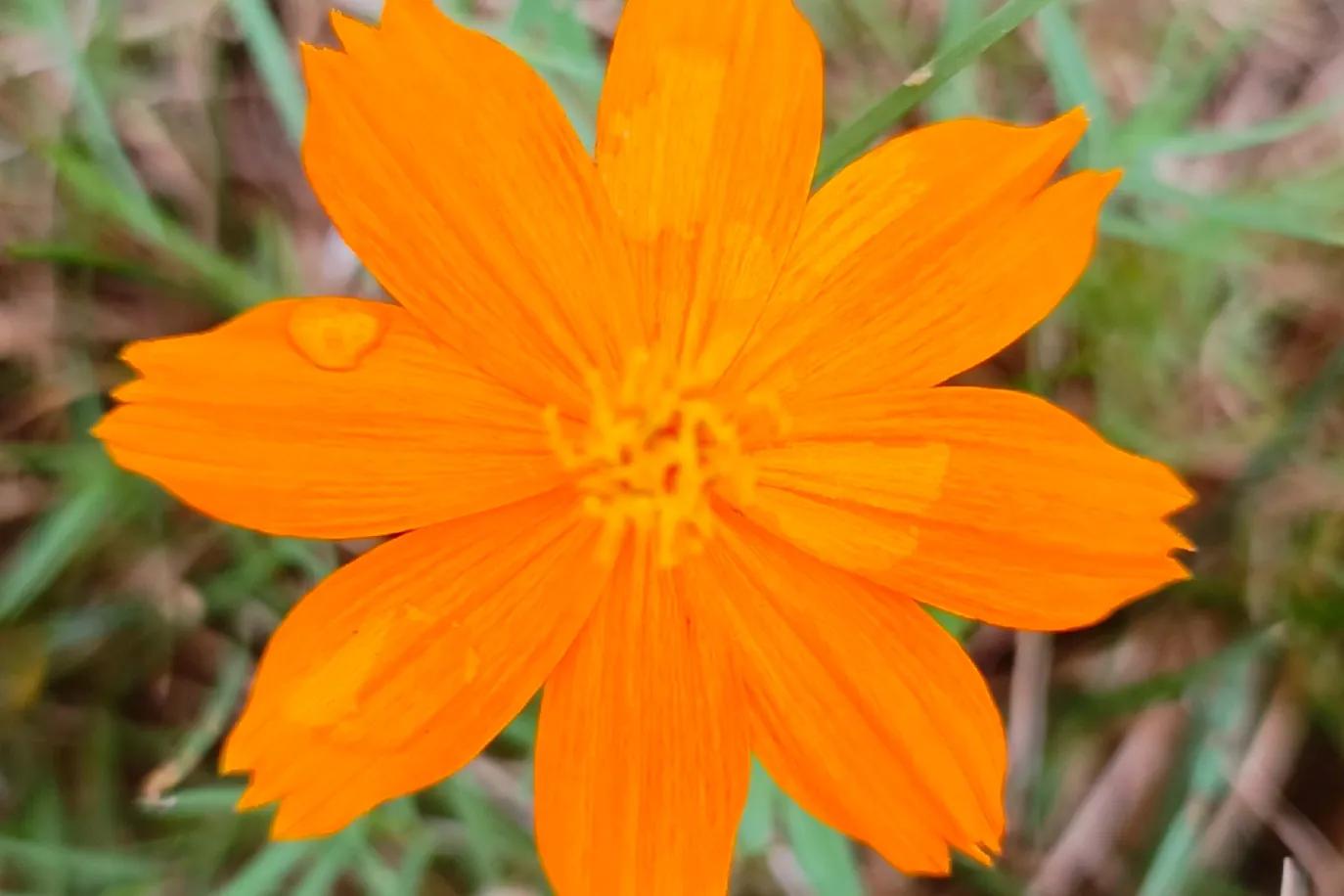 拉筋治好了一身的疾病,坚持拉筋20年变化