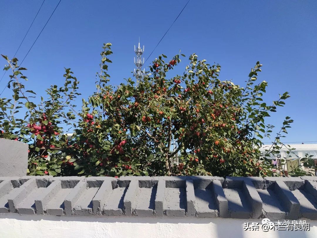 疫情虽然可怕但是我们永不畏惧,疫情依然不容小视