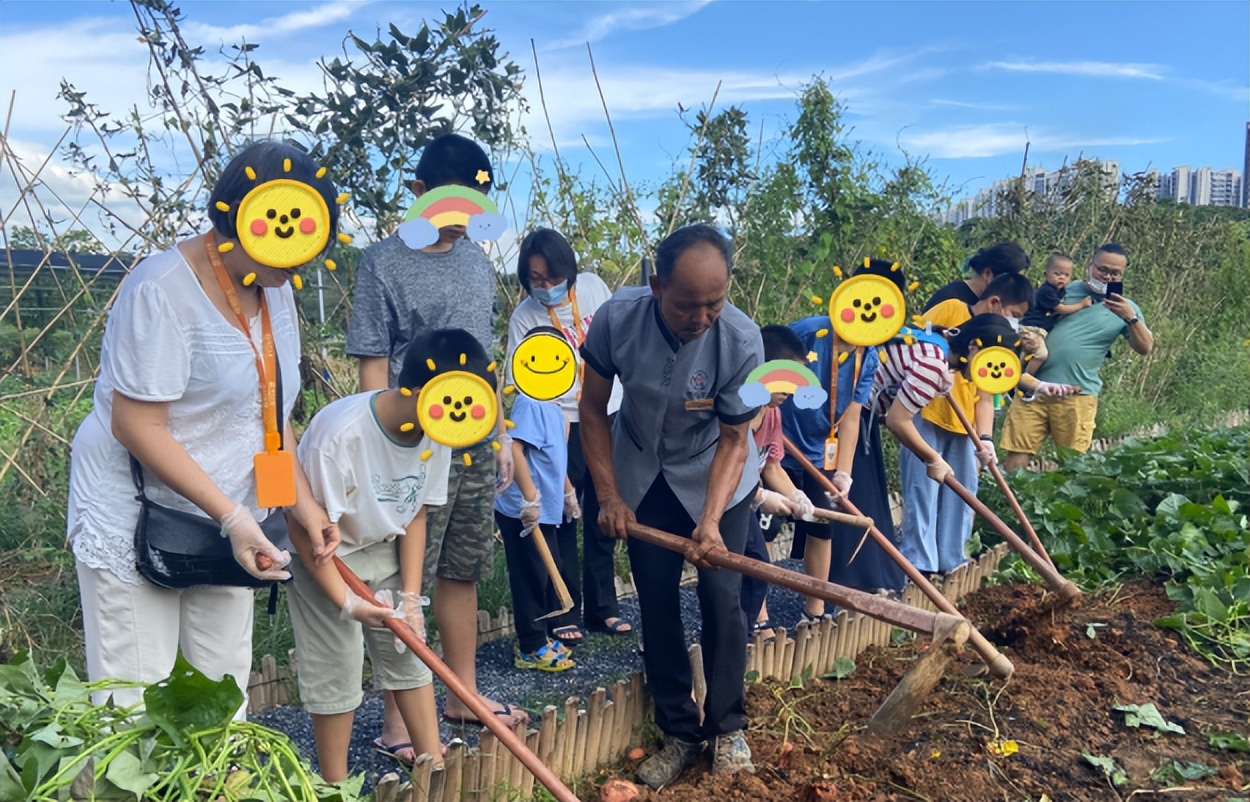 疫情过后关爱老年人重阳节活动,重阳节关爱老年人活动
