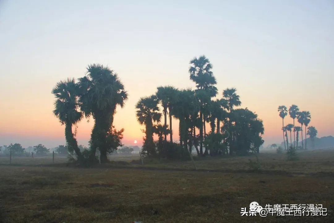 朝霞最美,最美朝霞歌曲