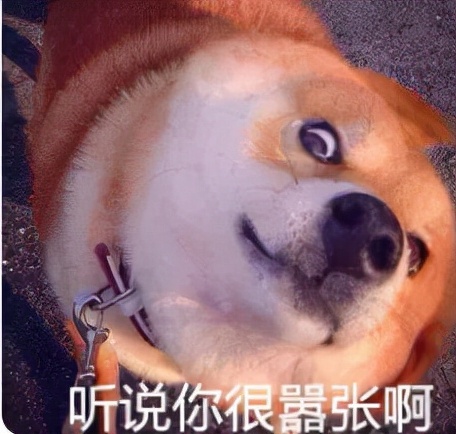 离婚女主持人都有谁,离婚的女主持