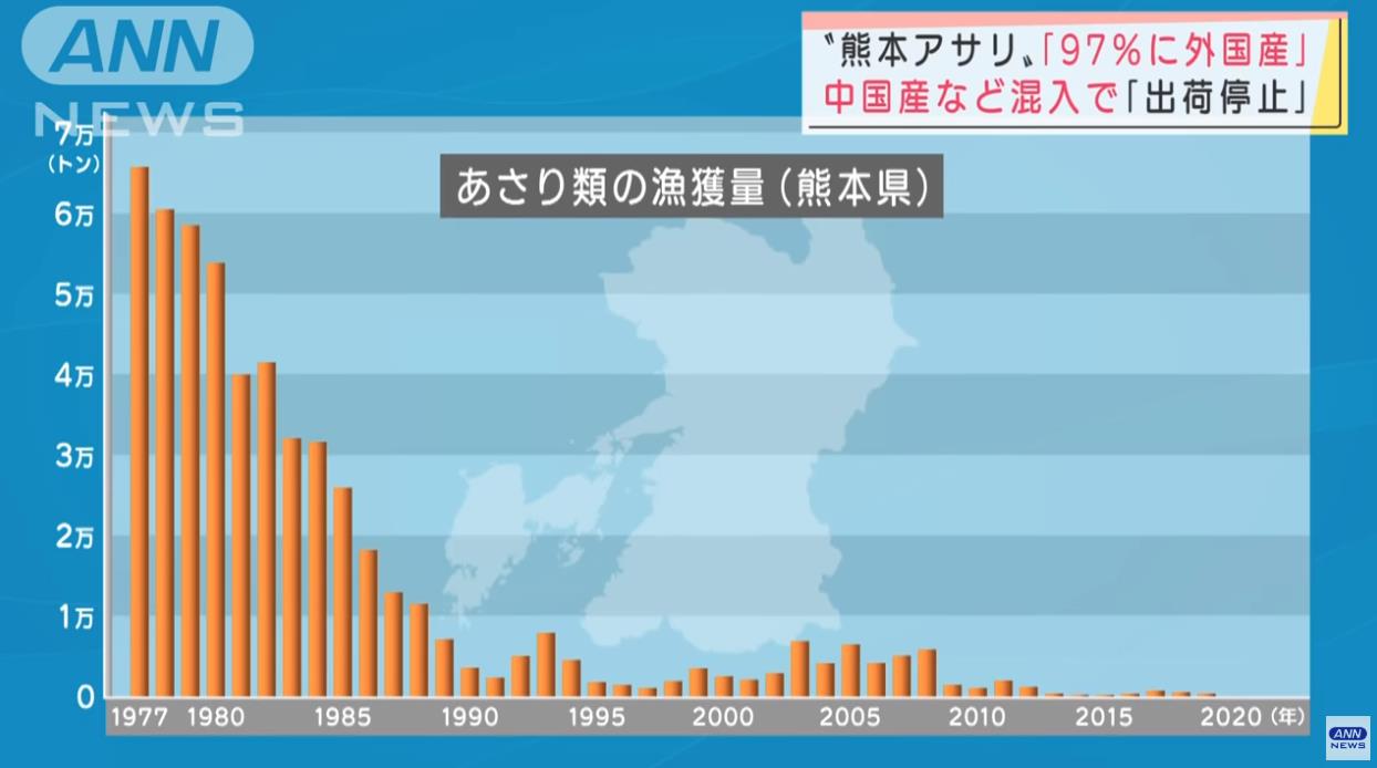 在日本捡蛤蜊,日本蛤蜊中国