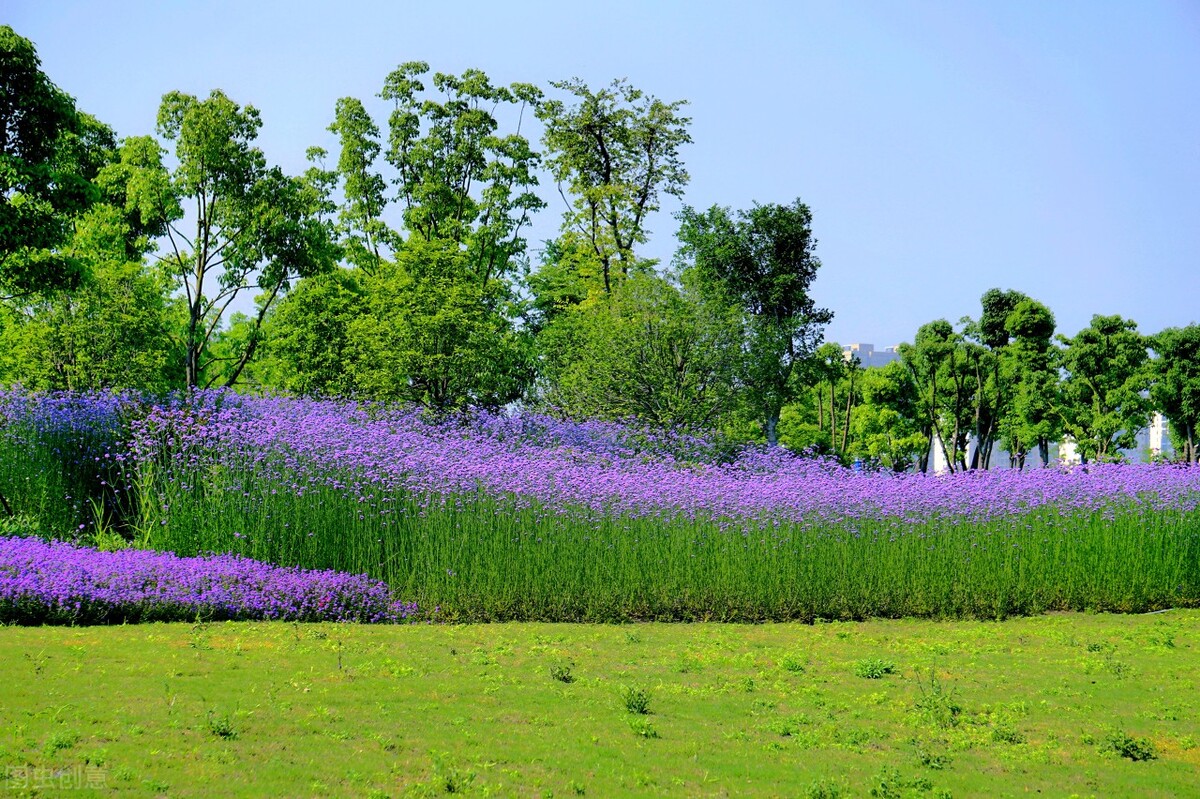 如何和对方聊得舒服,跟女孩子聊天如何引起对方的兴趣