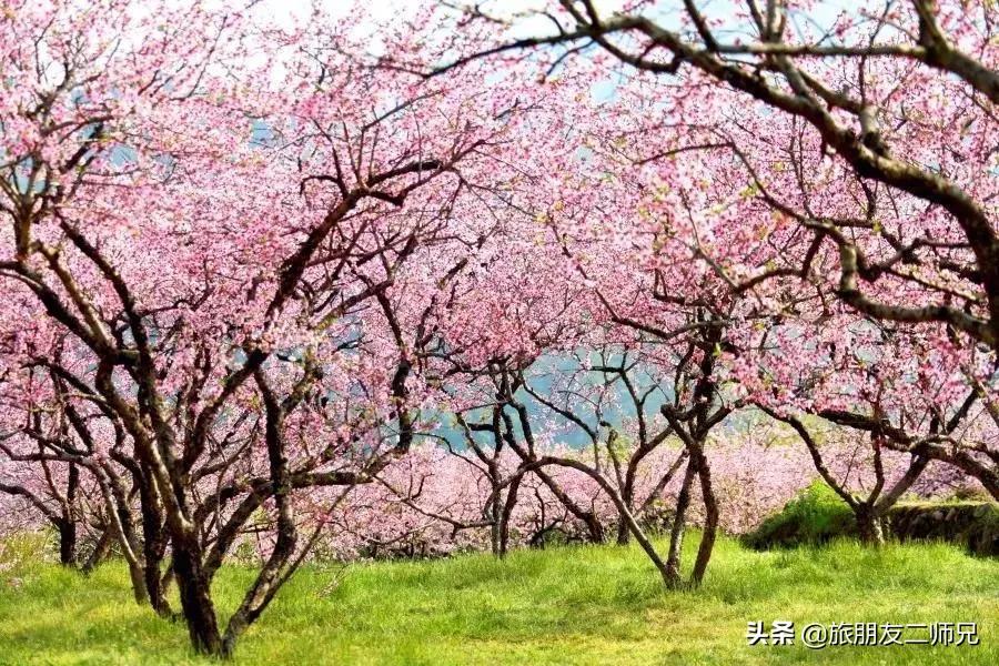 深圳去韶关丹霞山旅游攻略,韶关2夜3天旅游攻略丹霞山