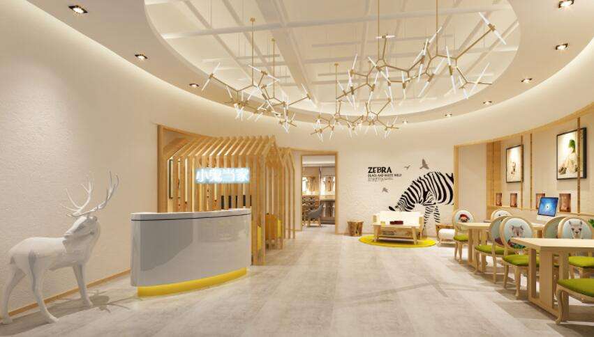 傻小子创业项目,傻小子创业视频