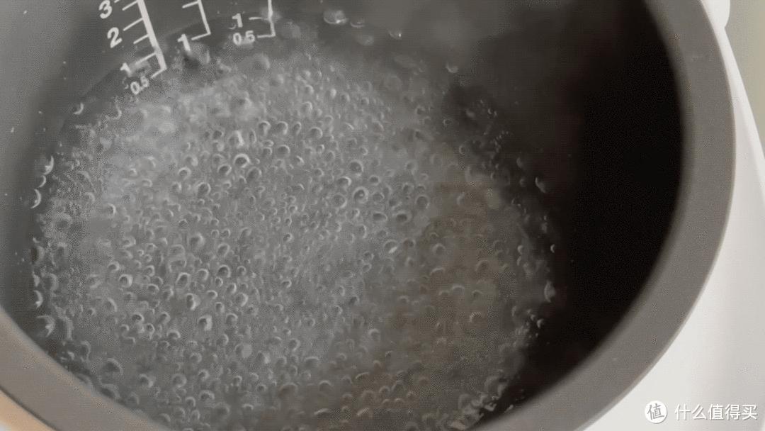 日本东芝电饭煲RC-18LTC评测,东芝rc-10hpc电饭煲评测