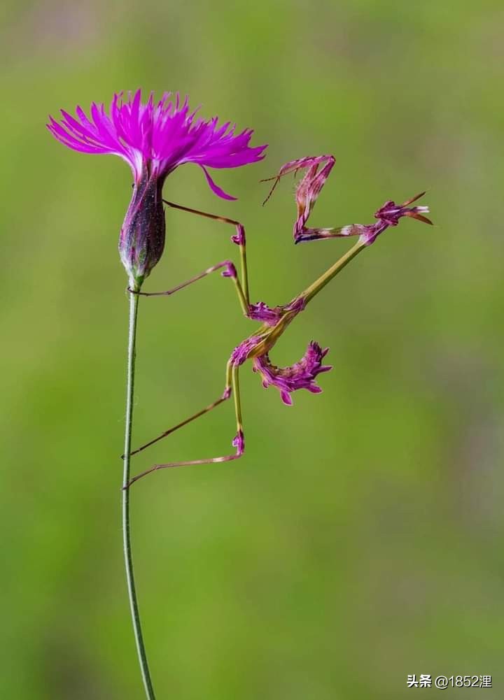 我讲的都是真实的故事，那些年到手的黑钱让我处理的乱七八糟！