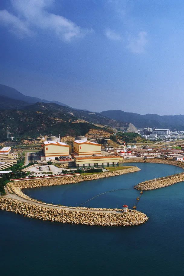 发电企业五大四小是指哪些企业,发电企业5大4小