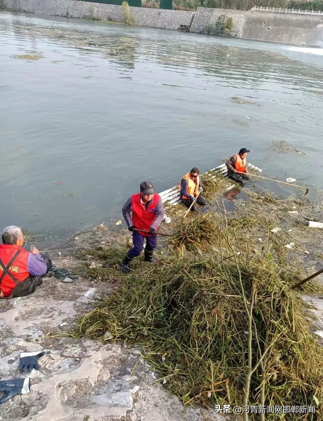 邯郸哪里有水草收割船,邯郸水草收割船