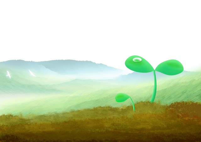 春天北方的风,春天北方的雪