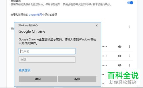 浏览器保存的密码怎么查看,如何找回浏览器保存的密码