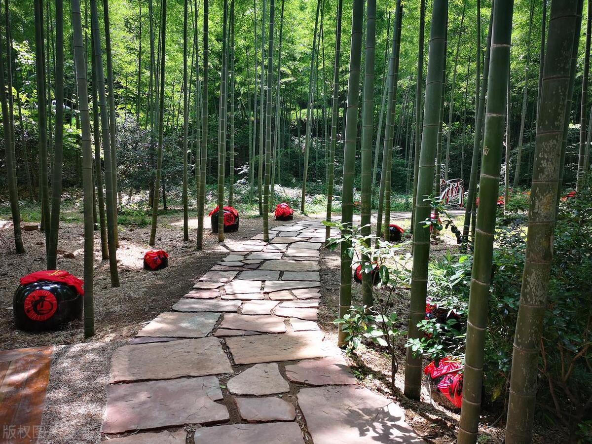 美丽中国之江苏,天目湖南山竹海美景