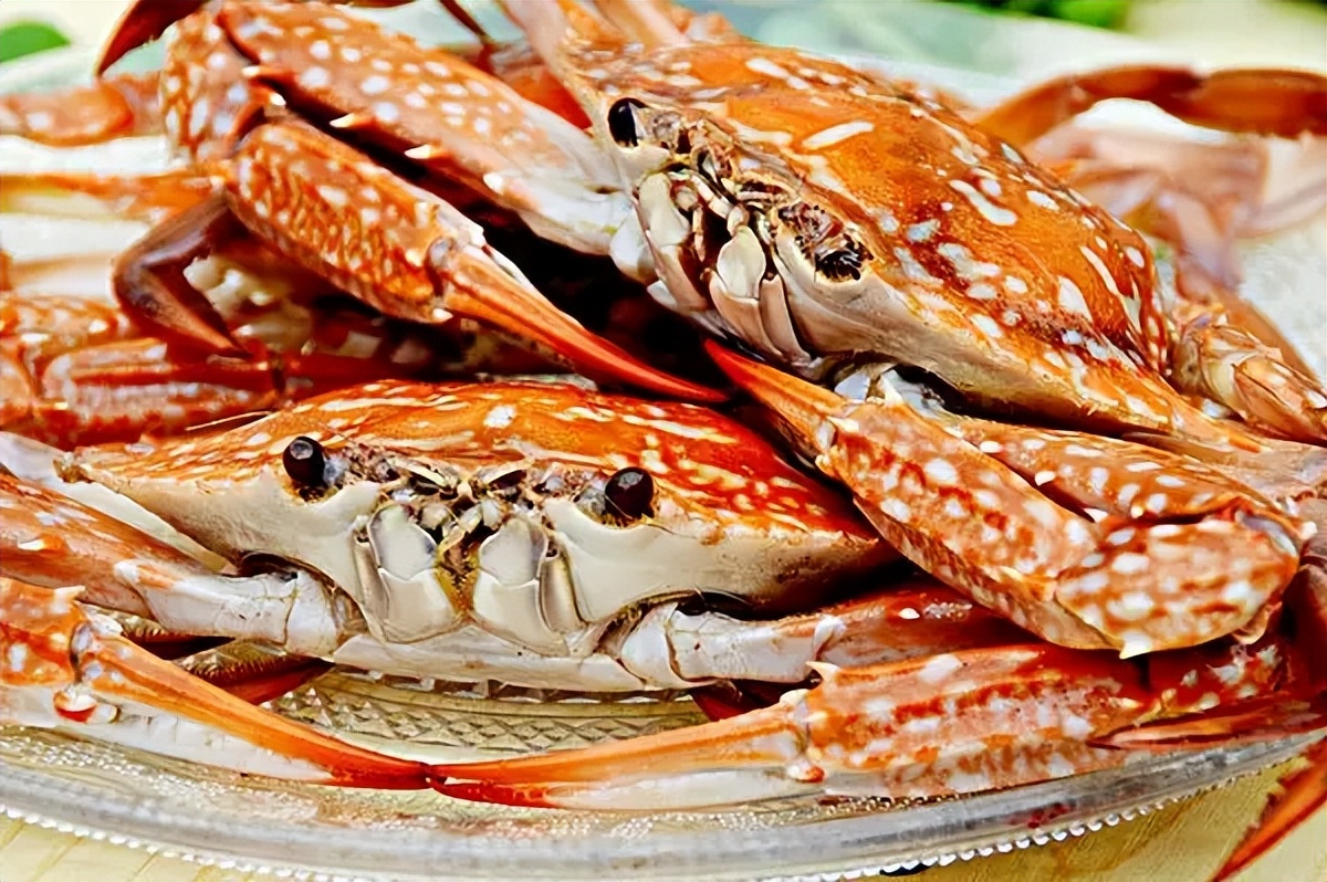 吃海鲜便宜的海边城市,国内哪个城市吃海鲜最好